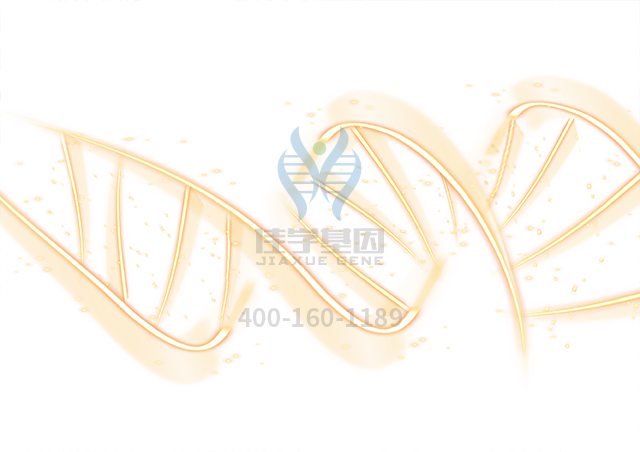 【佳學(xué)基因檢測(cè)】非特異性大皰性表皮松解癥常染色體隱性基因解碼、<a href=http://www.jinzhounet.cn/tk/jiema/cexujishu/2021/31933.html>基因檢測(cè)</a>怎么預(yù)約解讀？