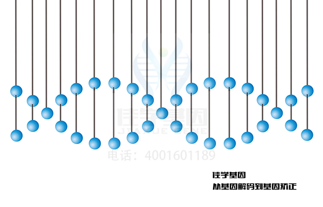【佳學(xué)基因檢測】什么人要做Diamond-Blackfan貧血(先天再生障礙性貧血)基因解碼、<a  data-cke-saved-href=http://www.jinzhounet.cn/tk/jiema/cexujishu/2021/31933.html href=http://www.jinzhounet.cn/tk/jiema/cexujishu/2021/31933.html>基因檢測</a>？