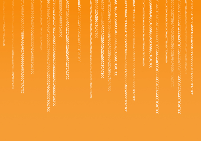 【佳學(xué)基因檢測】怎么做Kabuki綜合征基因解碼、<a  data-cke-saved-href=http://www.jinzhounet.cn/tk/jiema/cexujishu/2021/31933.html href=http://www.jinzhounet.cn/tk/jiema/cexujishu/2021/31933.html>基因檢測</a>?