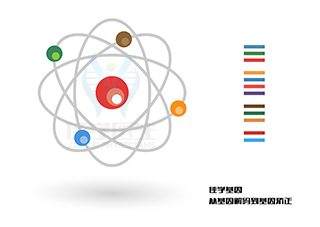 【佳學(xué)基因檢測】芳基硫酸酯酶A假性缺乏基因解碼、<a href=http://www.jinzhounet.cn/tk/jiema/cexujishu/2021/31933.html>基因檢測</a>的報(bào)告有人解讀嗎？