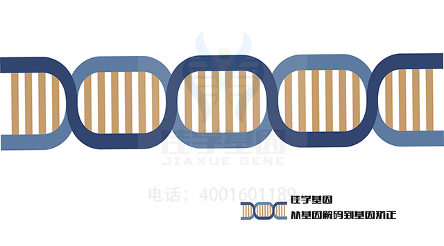 左旋甲炔諾酮藥物<a href=http://www.jinzhounet.cn/tk/jiema/cexujishu/2021/31933.html>基因檢測</a>