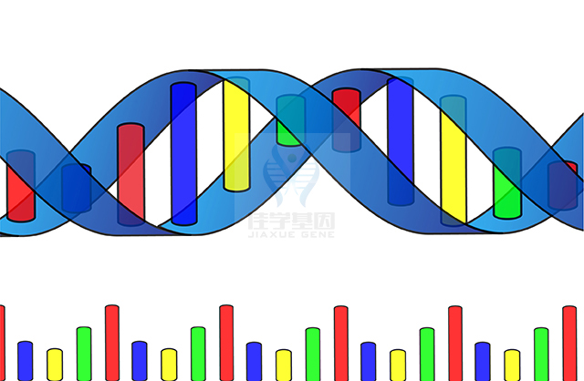 【佳學(xué)基因檢測(cè)】CHILD綜合征基因解碼、<a  data-cke-saved-href=http://www.jinzhounet.cn/tk/jiema/cexujishu/2021/31933.html href=http://www.jinzhounet.cn/tk/jiema/cexujishu/2021/31933.html>基因檢測(cè)</a>有什么用？