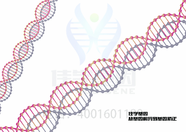 【佳學(xué)基因檢測(cè)】做補(bǔ)體因子d缺乏基因解碼、<a href=http://www.jinzhounet.cn/tk/jiema/cexujishu/2021/31933.html>基因檢測(cè)</a>采用什么樣品？