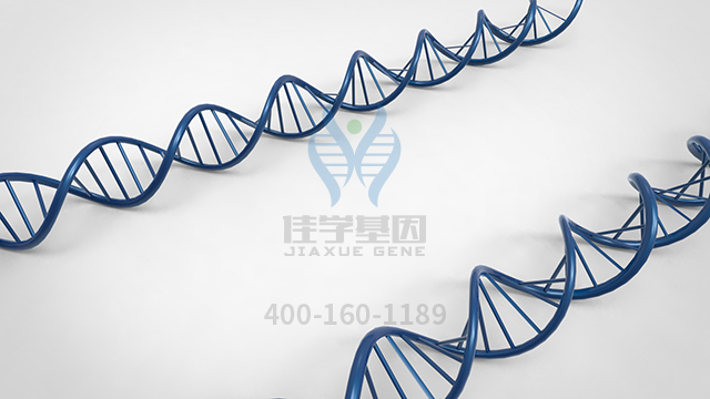 【佳學(xué)基因檢測(cè)】什么人要做GLUT1缺陷綜合征基因解碼、<a  data-cke-saved-href=http://www.jinzhounet.cn/tk/jiema/cexujishu/2021/31933.html href=http://www.jinzhounet.cn/tk/jiema/cexujishu/2021/31933.html>基因檢測(cè)</a>？