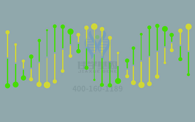 【佳學(xué)基因檢測】如何區(qū)分腎上腺功能不全先天性46XY（部分或有效）性逆轉(zhuǎn)基因解碼、<a href=http://www.jinzhounet.cn/tk/jiema/cexujishu/2021/31933.html>基因檢測</a>？