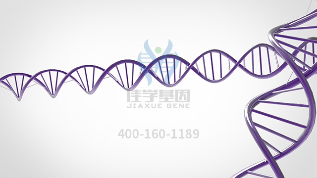 【佳學(xué)基因檢測(cè)】做痙攣性截癱顯性基因解碼、<a href=http://www.jinzhounet.cn/tk/jiema/cexujishu/2021/31933.html>基因檢測(cè)</a>采用什么樣品？
