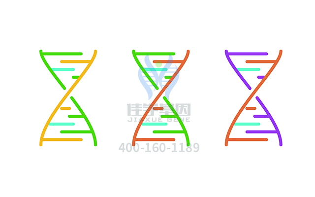 【佳學(xué)基因檢測(cè)】糖尿病1型易感性基因解碼、<a href=http://www.jinzhounet.cn/tk/jiema/cexujishu/2021/31933.html>基因檢測(cè)</a>報(bào)告時(shí)間是一樣的嗎？