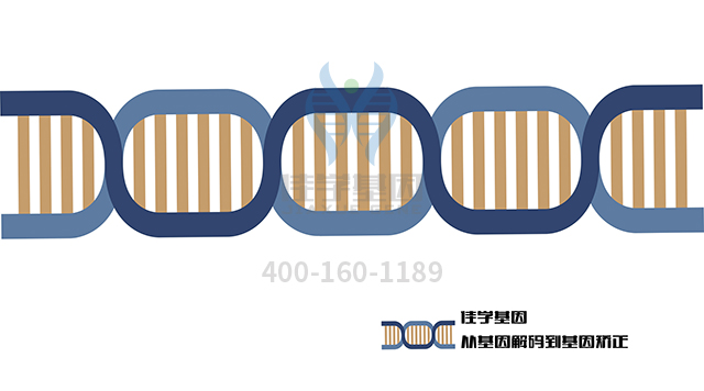 【佳學(xué)基因檢測(cè)】干骺端發(fā)育不良Jansen型基因解碼、<a href=http://www.jinzhounet.cn/tk/jiema/cexujishu/2021/31933.html>基因檢測(cè)</a>的樣品有區(qū)別嗎？