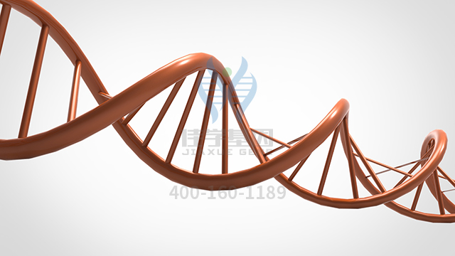【佳學(xué)基因檢測】做胰腺囊腫基因解碼、<a href=http://www.jinzhounet.cn/tk/jiema/cexujishu/2021/31933.html>基因檢測</a>的費(fèi)用是多少？