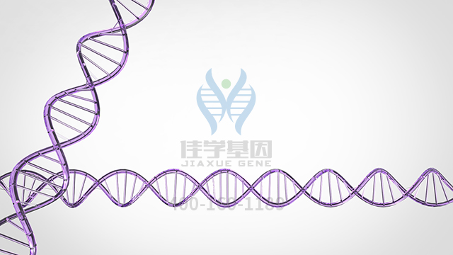 【佳學(xué)基因檢測】怎樣選擇Geleophysic發(fā)育不良1型基因解碼、<a href=http://www.jinzhounet.cn/tk/jiema/cexujishu/2021/31933.html>基因檢測</a>？