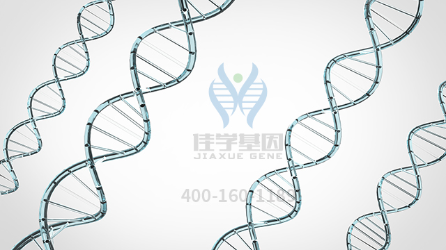 【佳學(xué)基因檢測】做丙型球蛋白血癥非布魯頓型基因解碼、<a  data-cke-saved-href=http://www.jinzhounet.cn/tk/jiema/cexujishu/2021/31933.html href=http://www.jinzhounet.cn/tk/jiema/cexujishu/2021/31933.html>基因檢測</a>采用什么樣品？