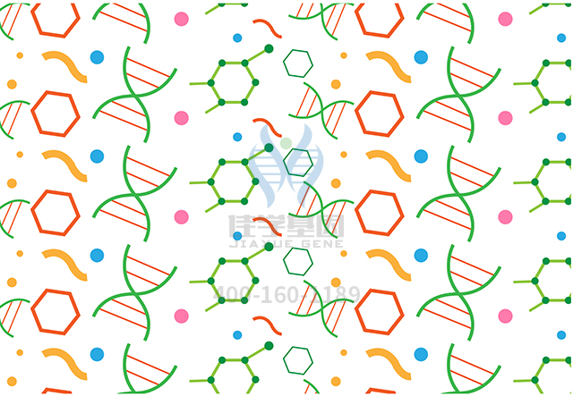 【佳學(xué)基因檢測】怎么做夏科-馬里-圖思?。–MT病或腓骨肌萎縮征）X神經(jīng)型基因解碼、<a href=http://www.jinzhounet.cn/tk/jiema/cexujishu/2021/31933.html>基因檢測</a>?