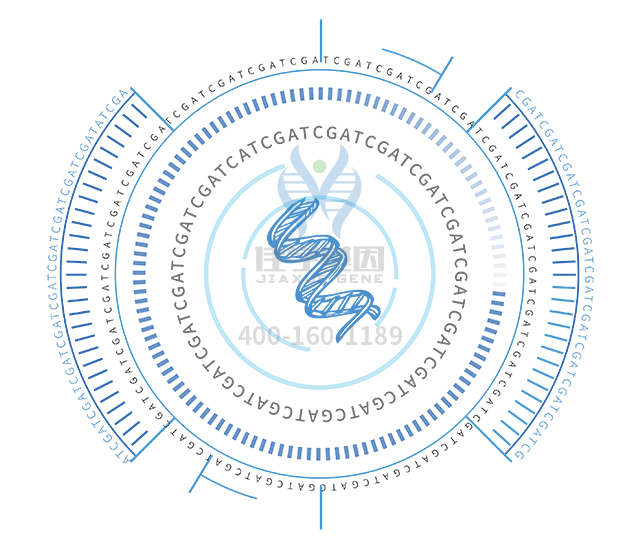 【佳學(xué)基因檢測】如何區(qū)分毛囊角化病基因解碼、<a href=http://www.jinzhounet.cn/tk/jiema/cexujishu/2021/31933.html>基因檢測</a>？