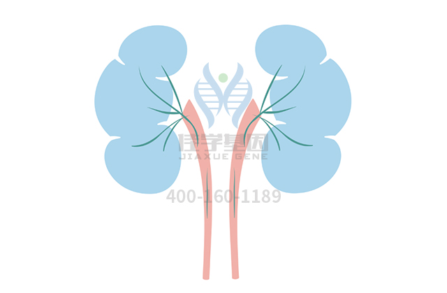 【佳學(xué)基因檢測】常染色體顯性廣泛性甲狀腺激素抵抗基因解碼、<a  data-cke-saved-href=http://www.jinzhounet.cn/tk/jiema/cexujishu/2021/31933.html href=http://www.jinzhounet.cn/tk/jiema/cexujishu/2021/31933.html>基因檢測</a>的報告有人解讀嗎？