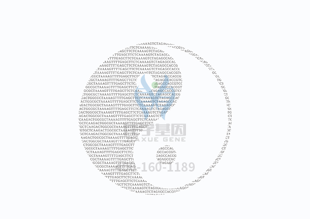【佳學(xué)基因檢測(cè)】做網(wǎng)狀色素皮病基因解碼、<a  data-cke-saved-href=http://www.jinzhounet.cn/tk/jiema/cexujishu/2021/31933.html href=http://www.jinzhounet.cn/tk/jiema/cexujishu/2021/31933.html>基因檢測(cè)</a>需要多長時(shí)間？