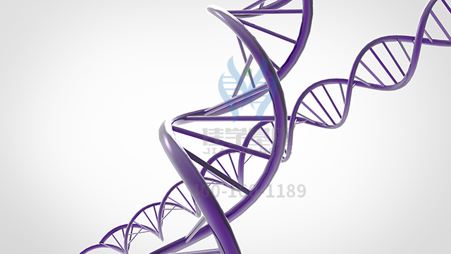 【佳學(xué)基因檢測】如何做甲狀腺激素抵抗全身性抵抗型基因解碼、<a  data-cke-saved-href=http://www.jinzhounet.cn/tk/jiema/cexujishu/2021/31933.html href=http://www.jinzhounet.cn/tk/jiema/cexujishu/2021/31933.html>基因檢測</a>？