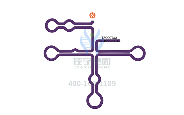 【佳學(xué)基因檢測】什么人要做局部白化病基因解碼、<a  data-cke-saved-href=http://www.jinzhounet.cn/tk/jiema/cexujishu/2021/31933.html href=http://www.jinzhounet.cn/tk/jiema/cexujishu/2021/31933.html>基因檢測</a>？
