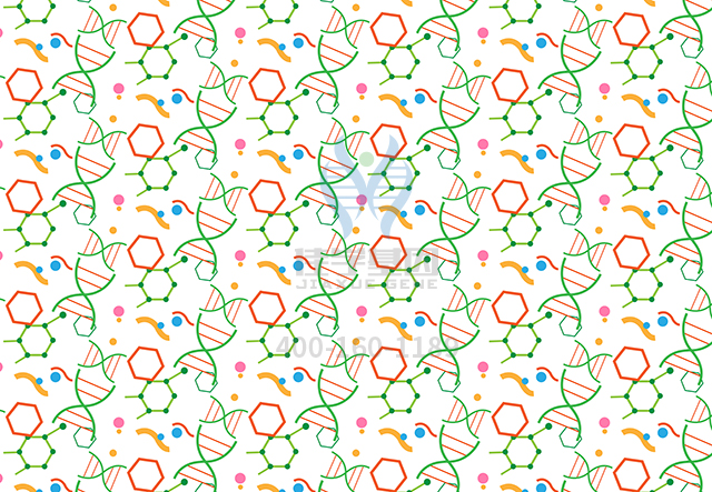 【佳學基因檢測】做阻塞性睡眠呼吸暫?；蚪獯a、<a  data-cke-saved-href=http://www.jinzhounet.cn/tk/jiema/cexujishu/2021/31933.html href=http://www.jinzhounet.cn/tk/jiema/cexujishu/2021/31933.html>基因檢測</a>的費用是多少？