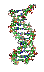 【佳學基因檢測】眼皮膚白化病4型基因解碼、<a href=http://www.jinzhounet.cn/tk/jiema/cexujishu/2021/31933.html>基因檢測</a>的報告有人解讀嗎？
