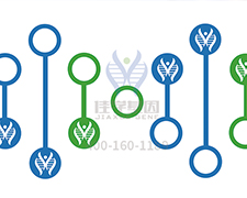 【佳學(xué)基因檢測】甲苯磺丁脲響應(yīng)基因解碼、<a href=http://www.jinzhounet.cn/tk/jiema/cexujishu/2021/31933.html>基因檢測</a>怎么預(yù)約解讀？
