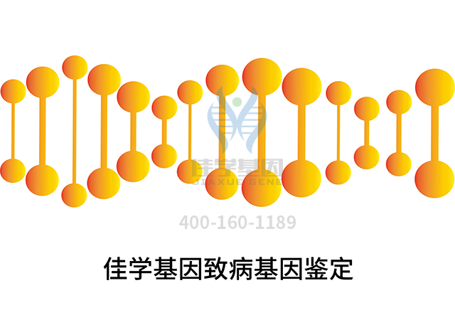 【佳學基因檢測】怎么做發(fā)育遲緩和黑棘皮病的嚴重性發(fā)育不良癥基因解碼、<a href=http://www.jinzhounet.cn/tk/jiema/cexujishu/2021/31933.html>基因檢測</a>?
