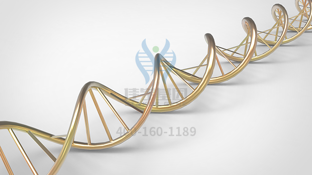 【佳學(xué)基因檢測】做先天性短腸綜合征X連鎖基因解碼、<a href=http://www.jinzhounet.cn/tk/jiema/cexujishu/2021/31933.html>基因檢測</a>的費(fèi)用是多少？