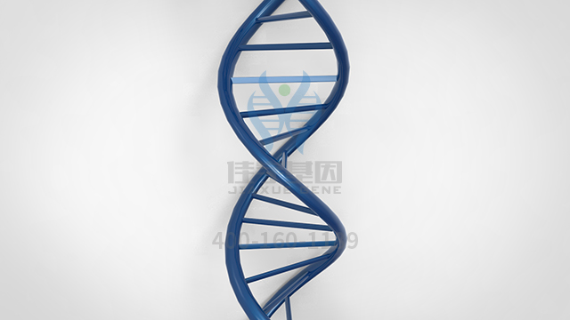 【佳學基因檢測】做尼古丁敏感性-功效基因解碼、<a href=http://www.jinzhounet.cn/tk/jiema/cexujishu/2021/31933.html>基因檢測</a>方便嗎？