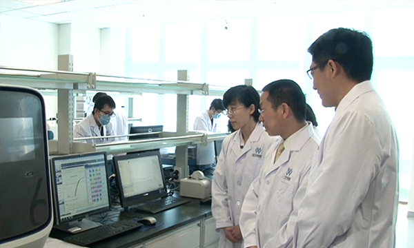 【佳學基因檢測】如何做骨肉瘤基因解碼、<a href=http://www.jinzhounet.cn/tk/jiema/cexujishu/2021/31933.html>基因檢測</a>？