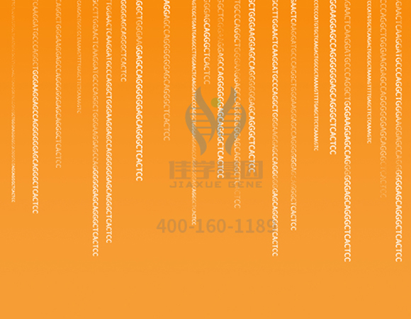 【佳學基因解碼-<a href=http://www.jinzhounet.cn/tk/jiema/cexujishu/2021/31933.html>基因檢測</a>】這些舉動竟讓<font color='red'>脫發(fā)</font>的女孩們重拾自信！