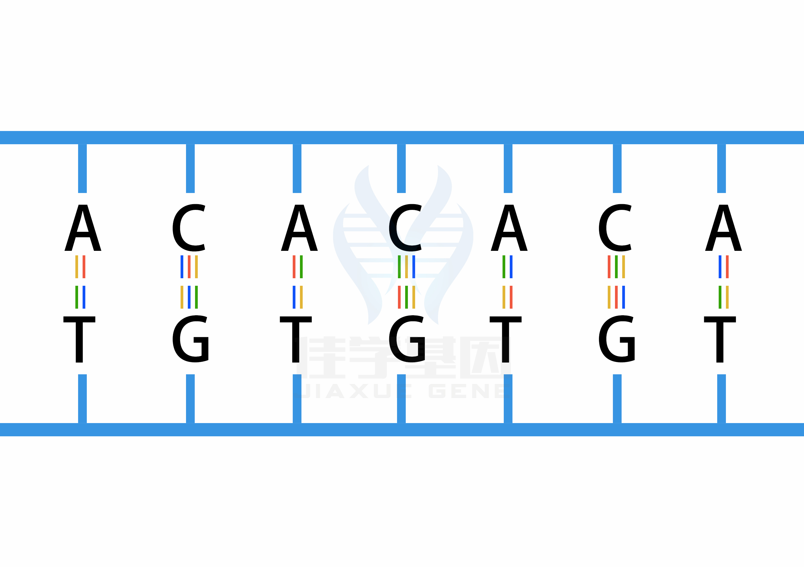 【佳學基因檢測】什么人要做性腺機能減退糖尿病<font color='red'>脫發(fā)</font>智力低下和心電圖異?；蚪獯a、<a href=http://www.jinzhounet.cn/tk/jiema/cexujishu/2021/31933.html>基因檢測</a>？
