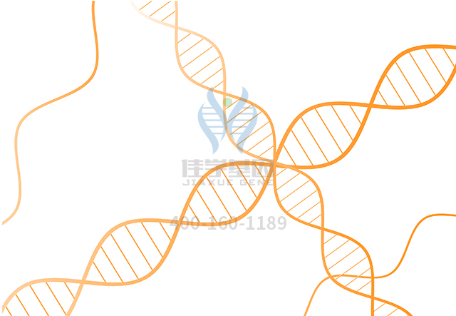 【佳學(xué)基因檢測】做<font color='red'>耳聾</font>先天性心臟缺陷有后胚胎環(huán)基因解碼、<a href=http://www.jinzhounet.cn/tk/jiema/cexujishu/2021/31933.html>基因檢測</a>需要到總部嗎？