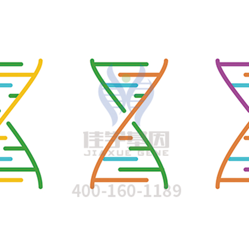 【眼科遺傳病】<font color='red'>BEST</font>病基因解碼、<a href=http://www.jinzhounet.cn/tk/jiema/cexujishu/2021/31933.html>基因檢測(cè)</a>
